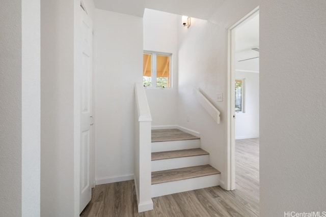 stairway featuring hardwood / wood-style floors