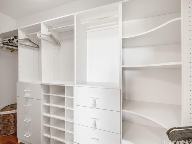 spacious closet with wood-type flooring