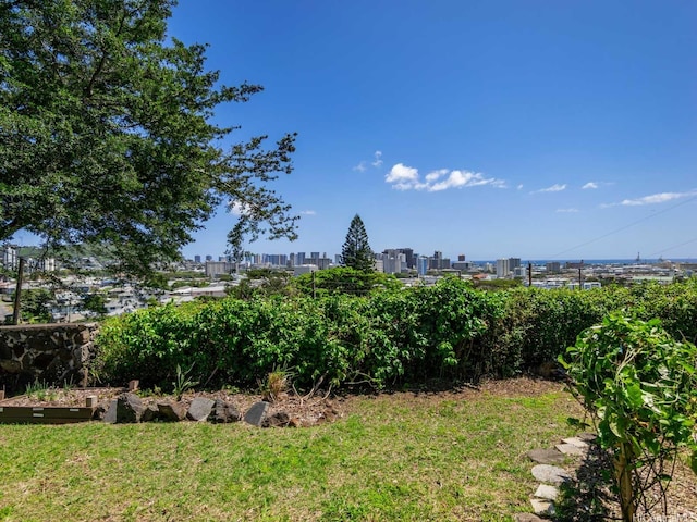 654 N Judd St Unit 654, Honolulu, HI 96817 - view of green lawn with a city view