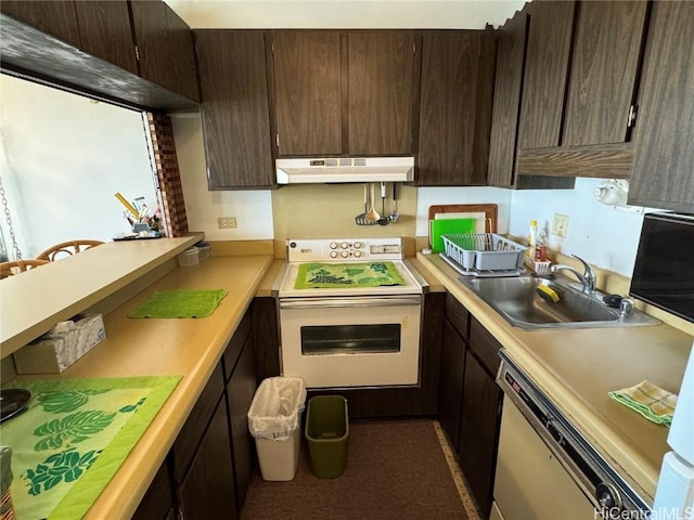 kitchen featuring range, dark brown cabinetry, stainless steel dishwasher, and sink