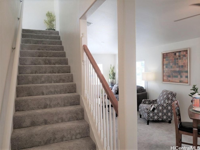 stairway with carpet flooring