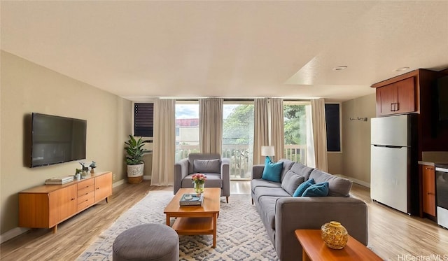 living room featuring light wood-type flooring