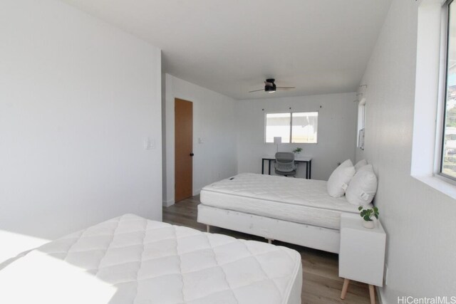 bedroom with ceiling fan and hardwood / wood-style floors