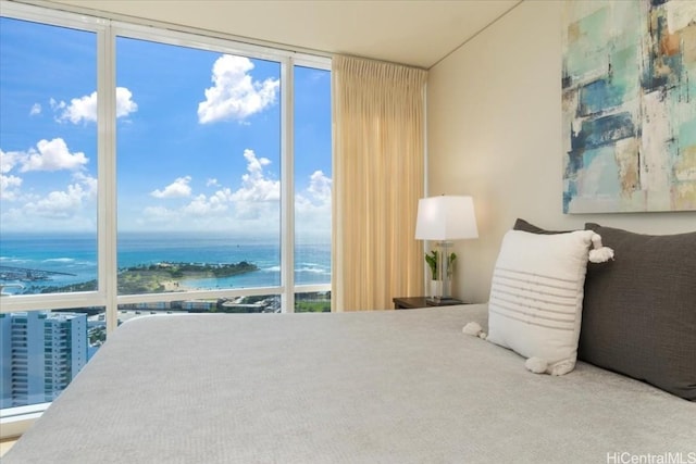 carpeted bedroom with a water view