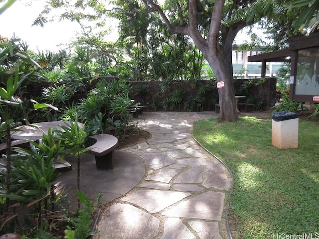 view of yard featuring a patio area