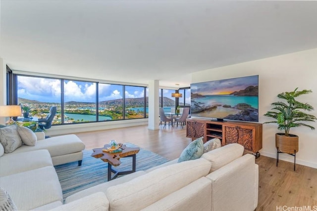 living room featuring light hardwood / wood-style flooring and expansive windows