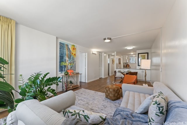 living room with wood-type flooring