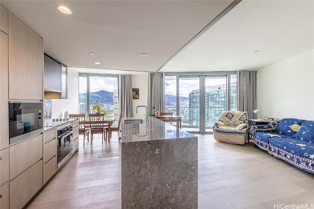 kitchen with a mountain view, floor to ceiling windows, sink, and stainless steel appliances