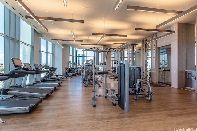 gym featuring hardwood / wood-style floors and a high ceiling