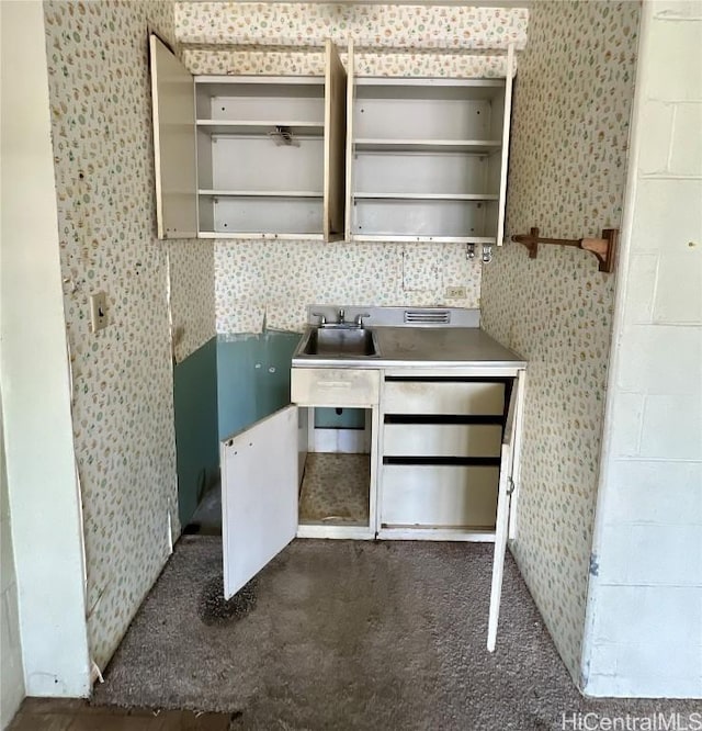 kitchen with dark carpet and sink