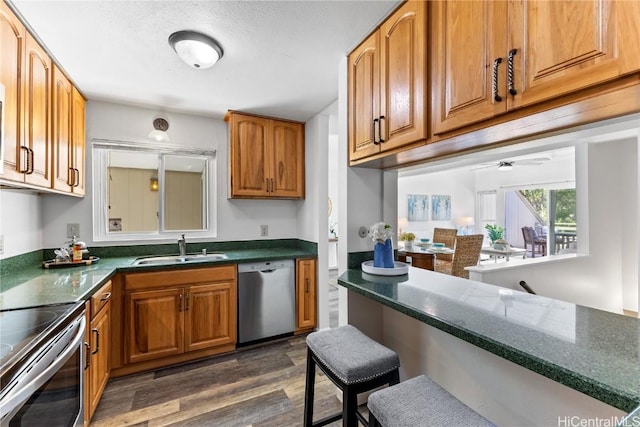 kitchen with dishwasher, ceiling fan, dark hardwood / wood-style flooring, and sink