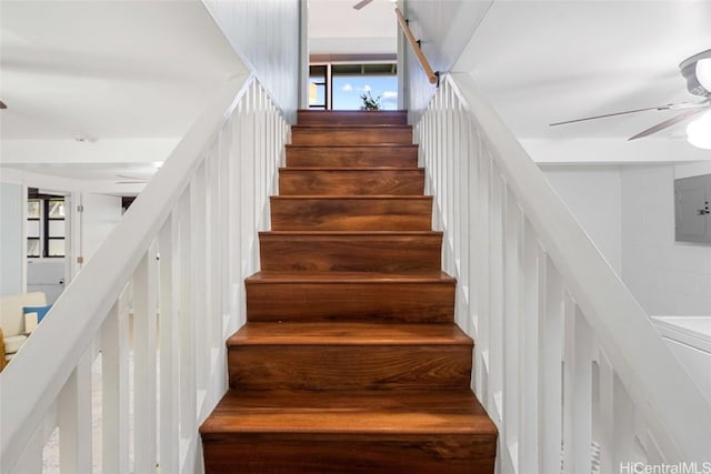 stairway with hardwood / wood-style floors, electric panel, a wealth of natural light, and ceiling fan