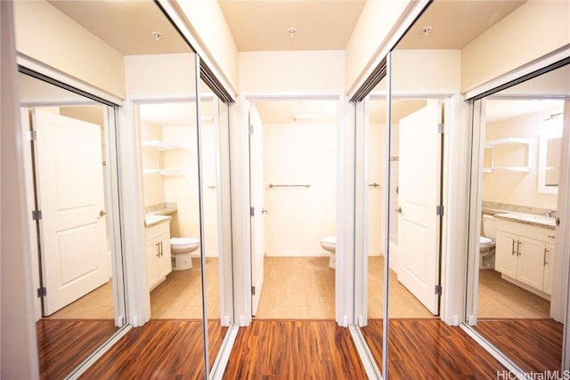 interior space featuring sink and wood-type flooring