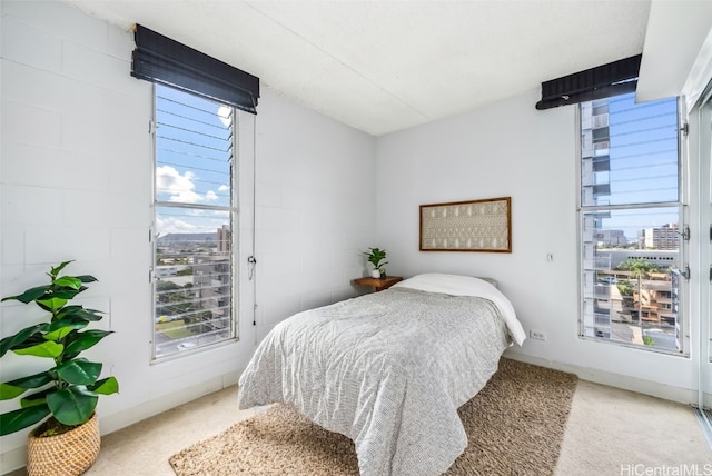 bedroom with carpet floors and multiple windows