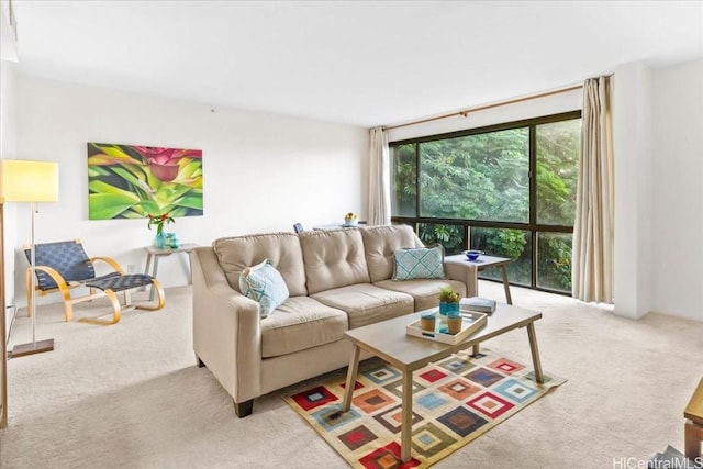 carpeted living room featuring floor to ceiling windows