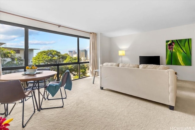 view of carpeted living room