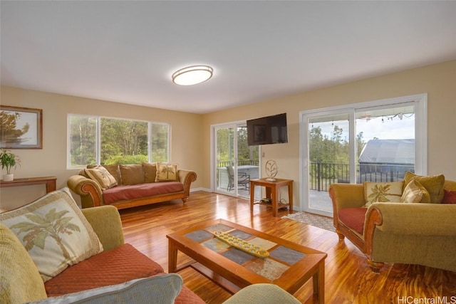 living room with light hardwood / wood-style flooring