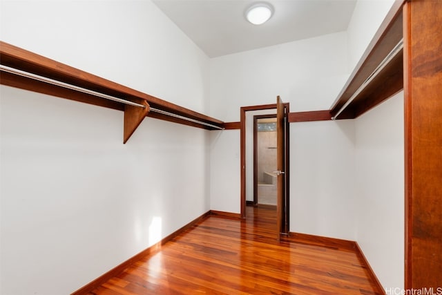 spacious closet featuring hardwood / wood-style flooring