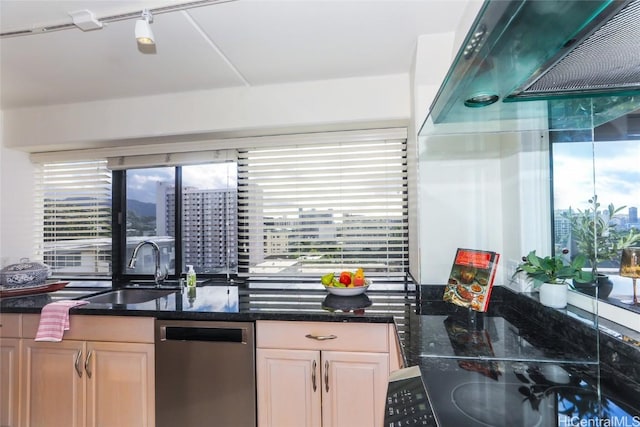 kitchen with dark stone countertops, dishwasher, track lighting, and sink