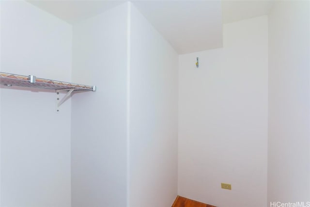 spacious closet with wood-type flooring