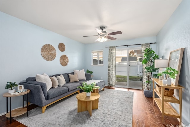 living room with ceiling fan and wood-type flooring