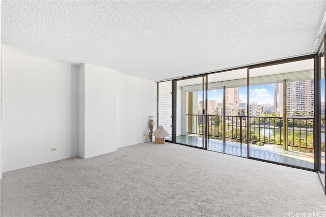 carpeted spare room featuring a city view, a textured ceiling, and expansive windows