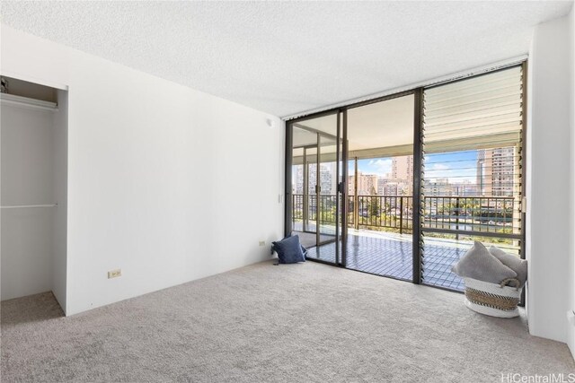 interior space featuring carpet flooring, a textured ceiling, access to outside, and multiple windows