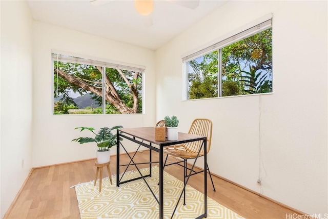 dining room with light hardwood / wood-style floors and ceiling fan