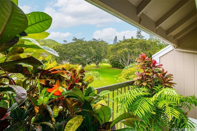 view of yard featuring a balcony