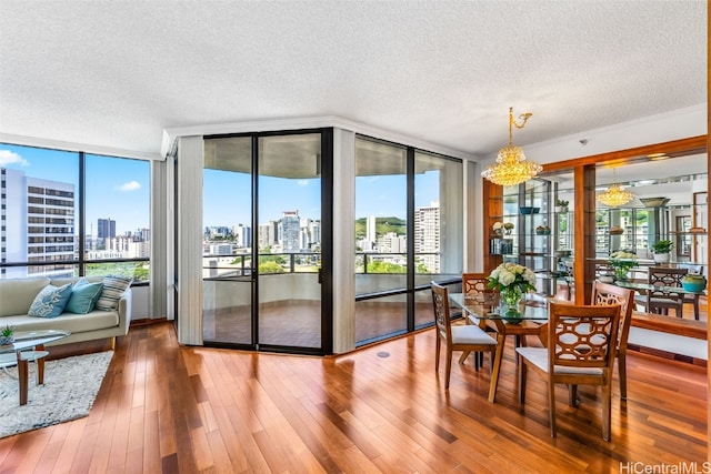 interior space with a chandelier, hardwood / wood-style flooring, floor to ceiling windows, and a healthy amount of sunlight