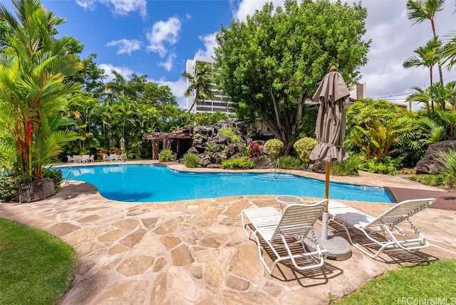 view of pool with a patio