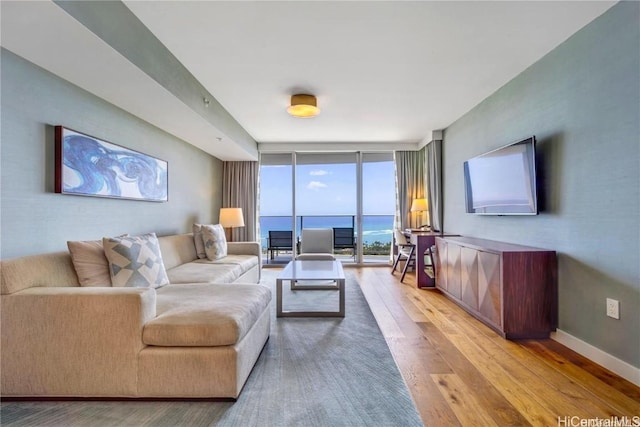 living room with expansive windows and light hardwood / wood-style floors