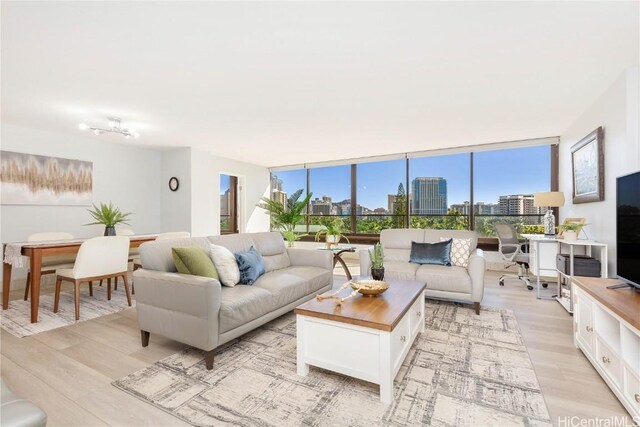 living room with floor to ceiling windows and light hardwood / wood-style floors