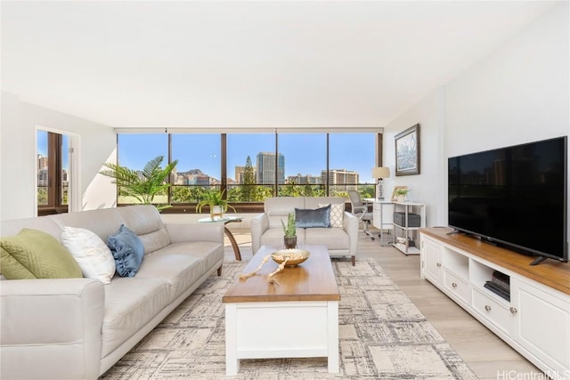 living room featuring light hardwood / wood-style flooring and a healthy amount of sunlight