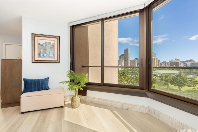 living area featuring light hardwood / wood-style floors