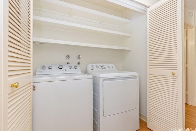 clothes washing area featuring wood-type flooring and washer and clothes dryer