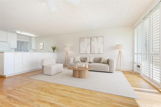 living room with a textured ceiling and light wood-type flooring