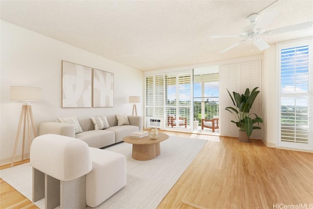 living room featuring hardwood / wood-style floors, plenty of natural light, and a textured ceiling