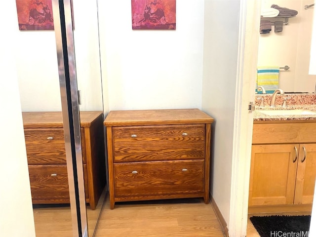 room details with vanity and wood-type flooring