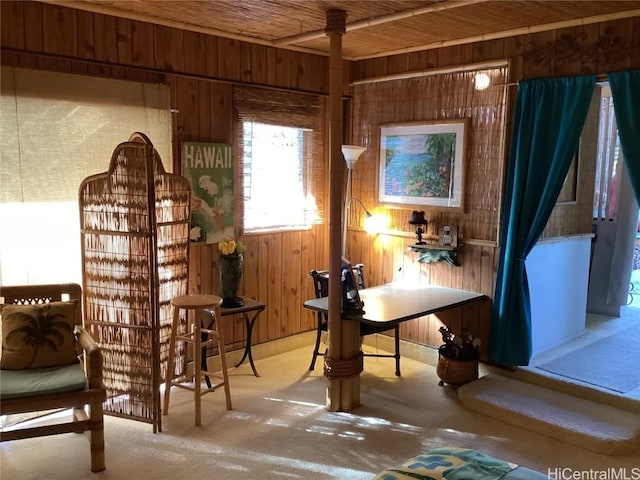 living area featuring wooden walls and wood ceiling