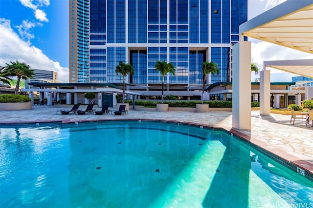 view of swimming pool with a patio