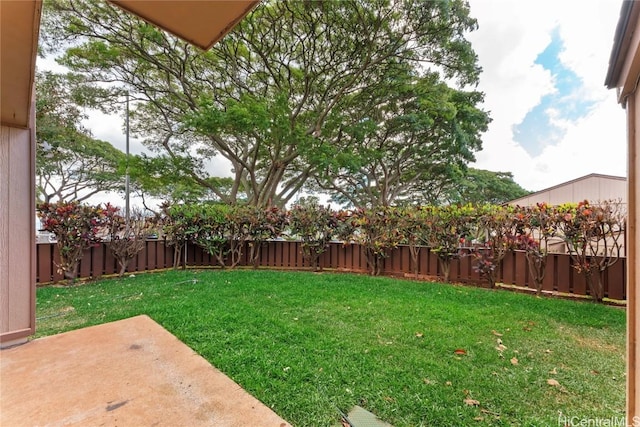 view of yard featuring a patio