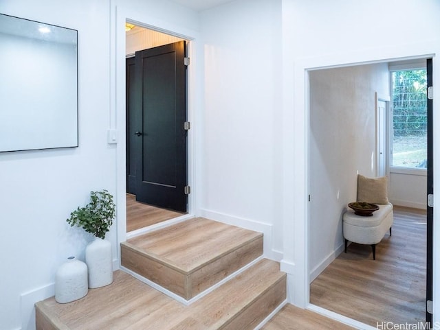 staircase with hardwood / wood-style floors