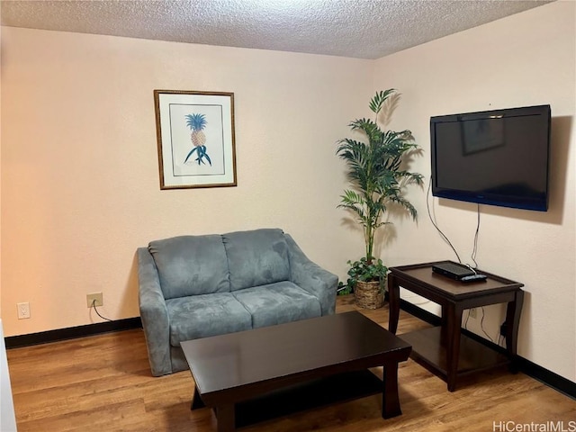 living room with hardwood / wood-style floors and a textured ceiling