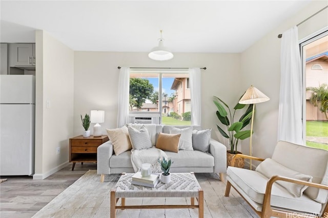 living room featuring light hardwood / wood-style floors