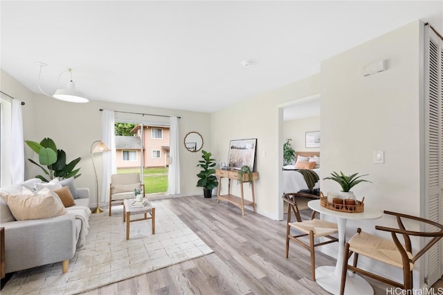 living room featuring light hardwood / wood-style flooring