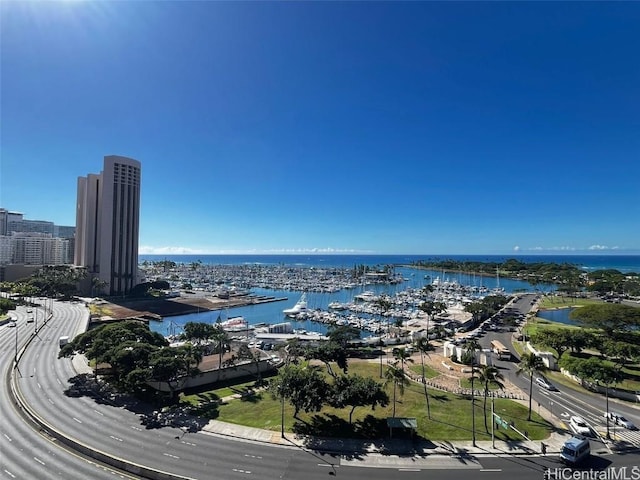 drone / aerial view with a water view