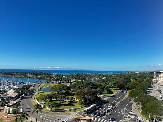 bird's eye view with a water view