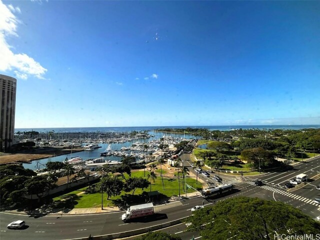 bird's eye view with a water view