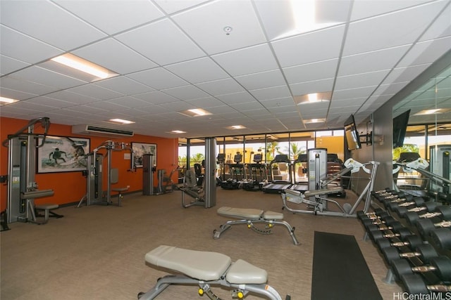 gym with a paneled ceiling and carpet floors